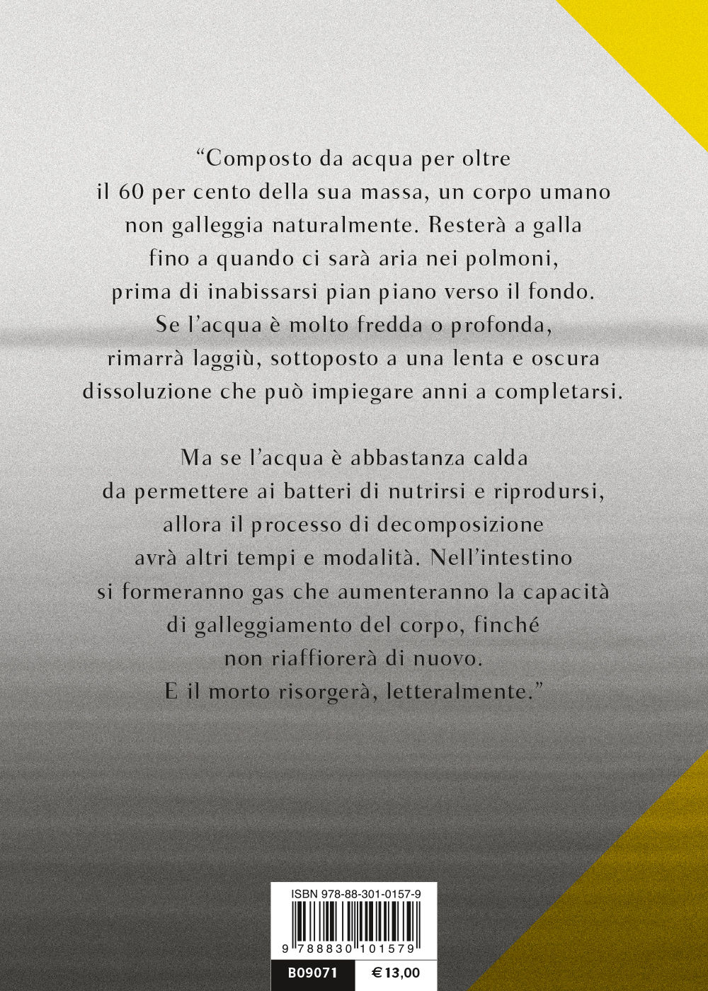 Acque morte::La nuova indagine di David Hunter
