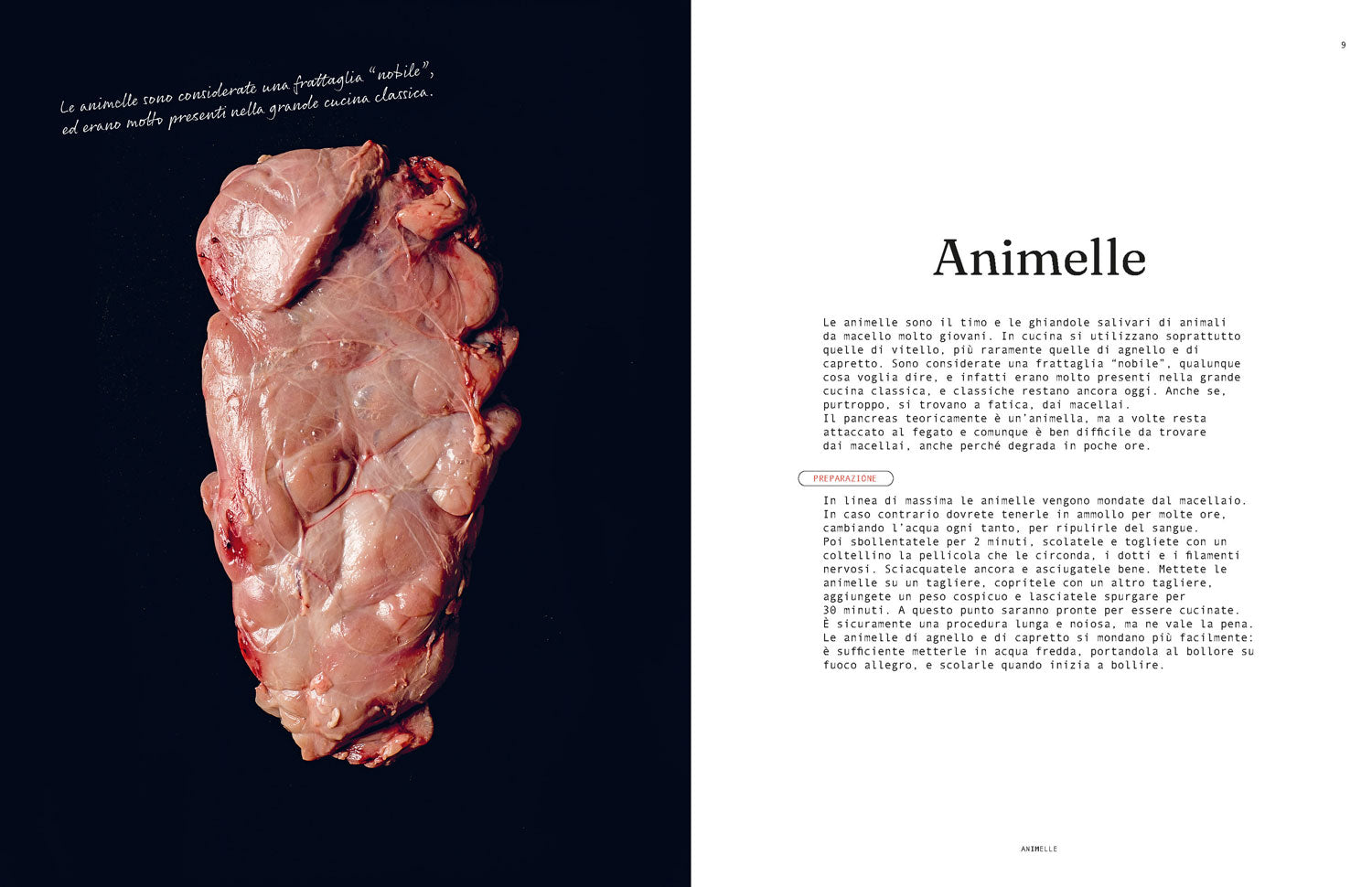 Frattaglie::Cucinare con cuore e cervello (e molto altro)
