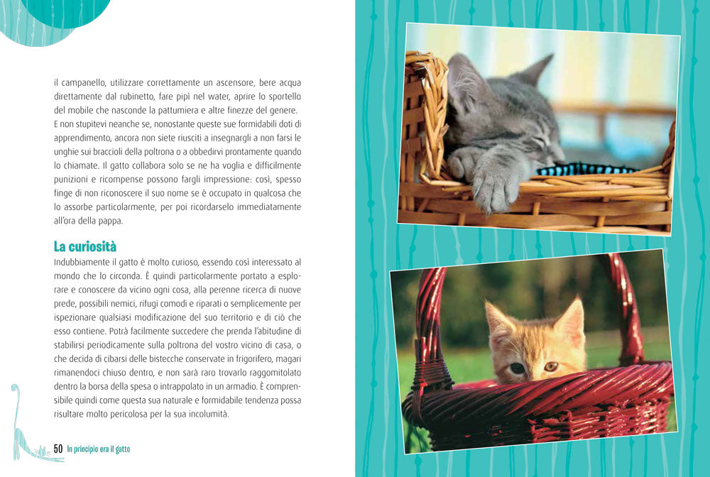 Gatti