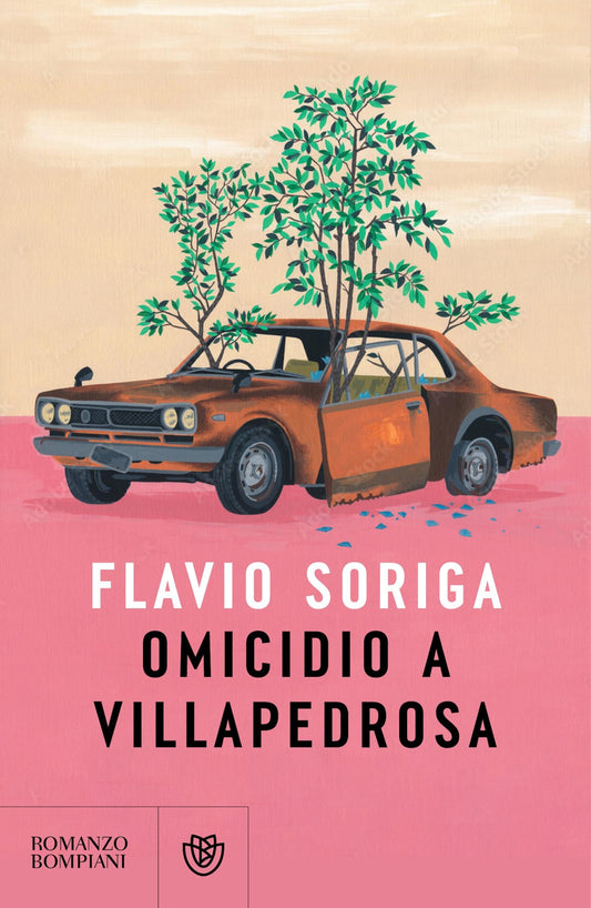 Omicidio a Villapedrosa