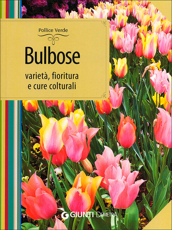 Bulbose::Varietà, fioritura e cure colturali