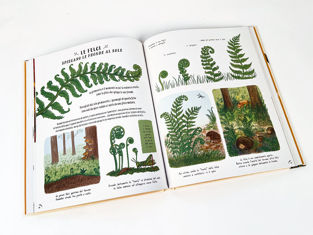 Piano piano... osservare la natura per vivere senza fretta::50 Storie