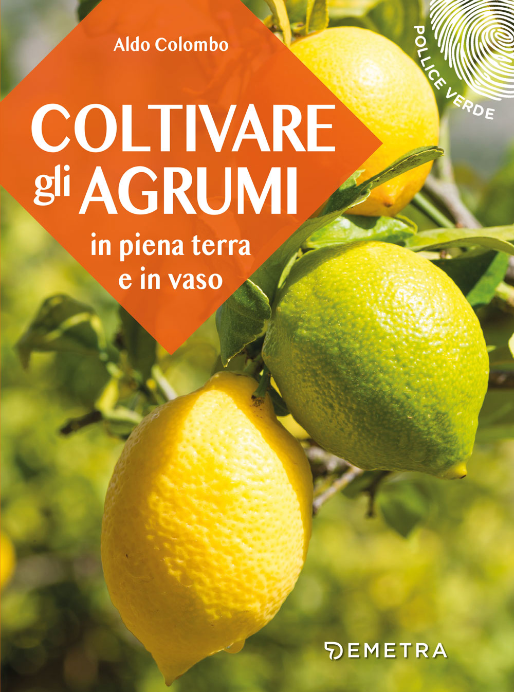 Coltivare gli agrumi::in piena terra e in vaso
