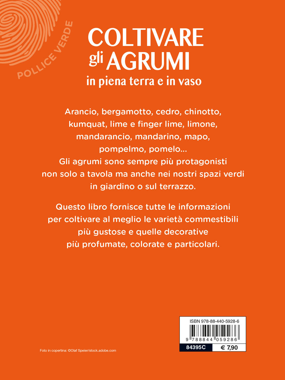 Coltivare gli agrumi::in piena terra e in vaso