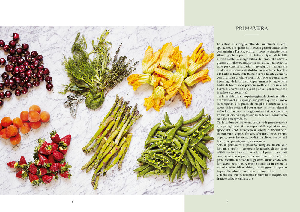 Ricette vegetariane d'Italia. 400 piatti della tradizione regionale::400 piatti della tradizione regionale