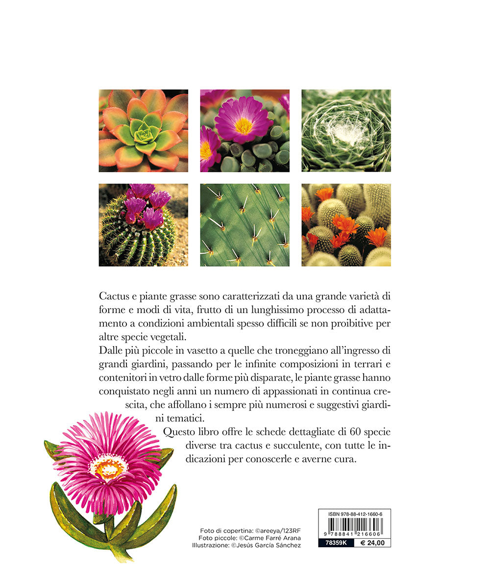 Il grande libro dei cactus e delle piante grasse