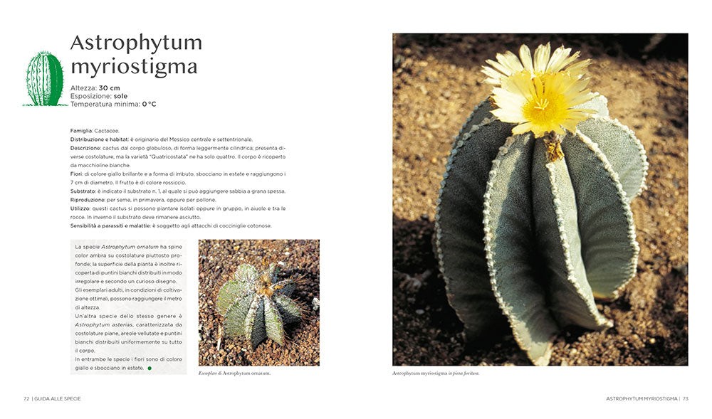 Il grande libro dei cactus e delle piante grasse