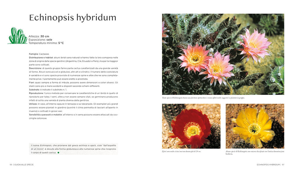 Il grande libro dei cactus e delle piante grasse