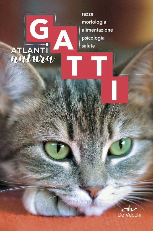 Gatti::razze, morfologia, alimentazione. psicologia, salute