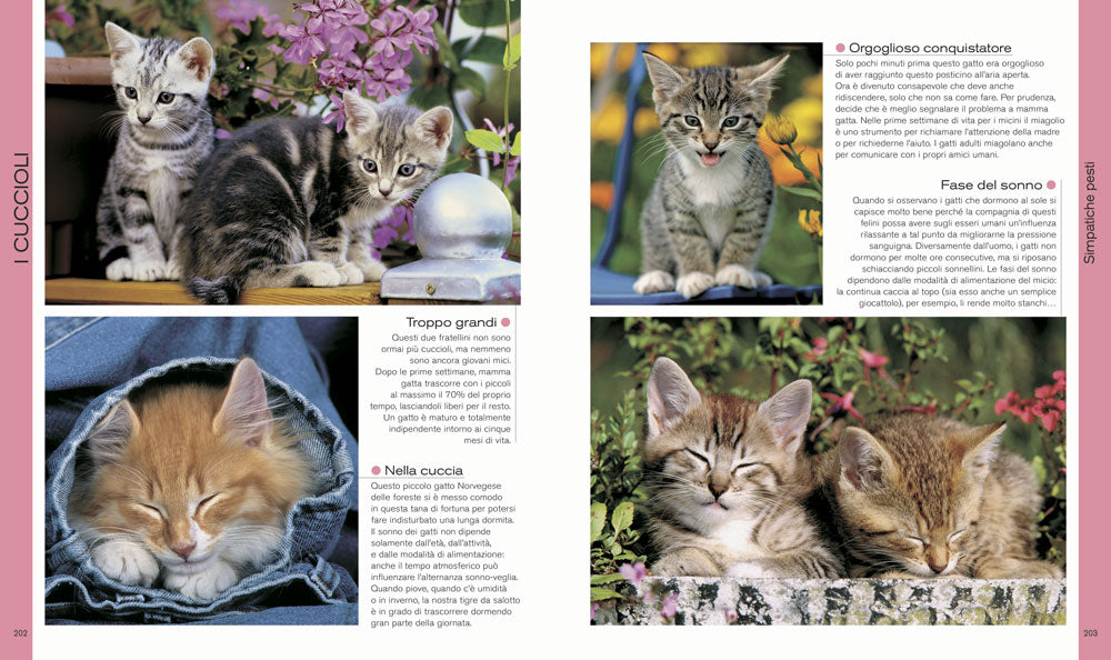 Il libro dei gatti