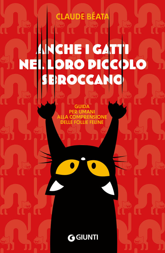 Anche i gatti nel loro piccolo sbroccano::Guida per umani alla comprensione delle follie feline