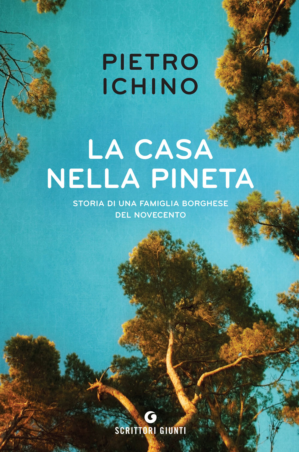 La casa nella pineta::Storia di una famiglia borghese del Novecento