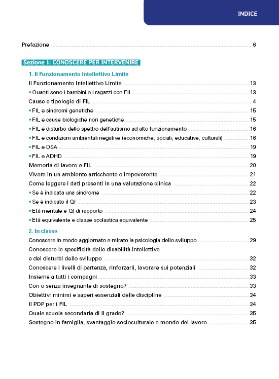 Fra normalità e disabilità intellettiva lieve: come intervenire::Strategie didattiche e schede di semplificazione per affrontare le difficoltà del Funzionamento Intellettivo Limite