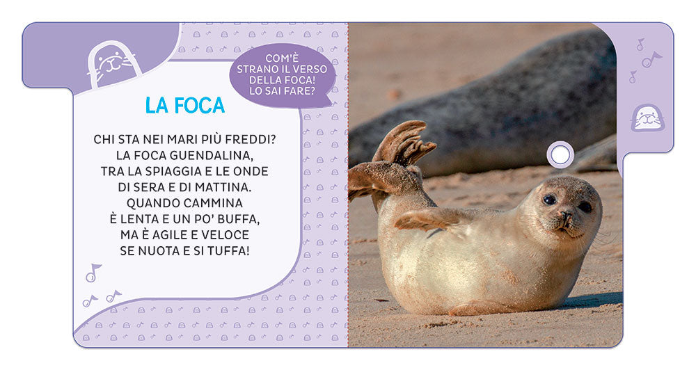Animali del mondo. Primi suoni::6 versi da ascoltare!