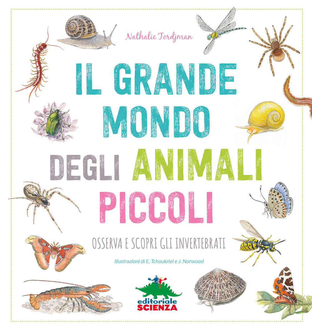 Il grande mondo degli animali piccoli::Osserva e scopri gli invertebrati