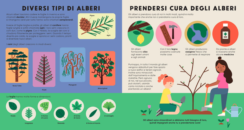 L'albero