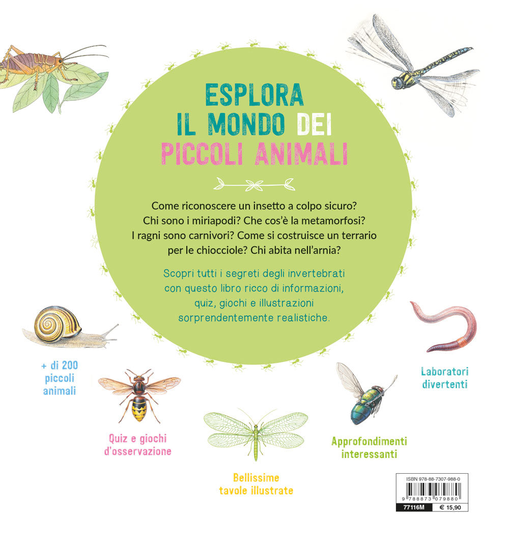 Il grande mondo degli animali piccoli::Osserva e scopri gli invertebrati