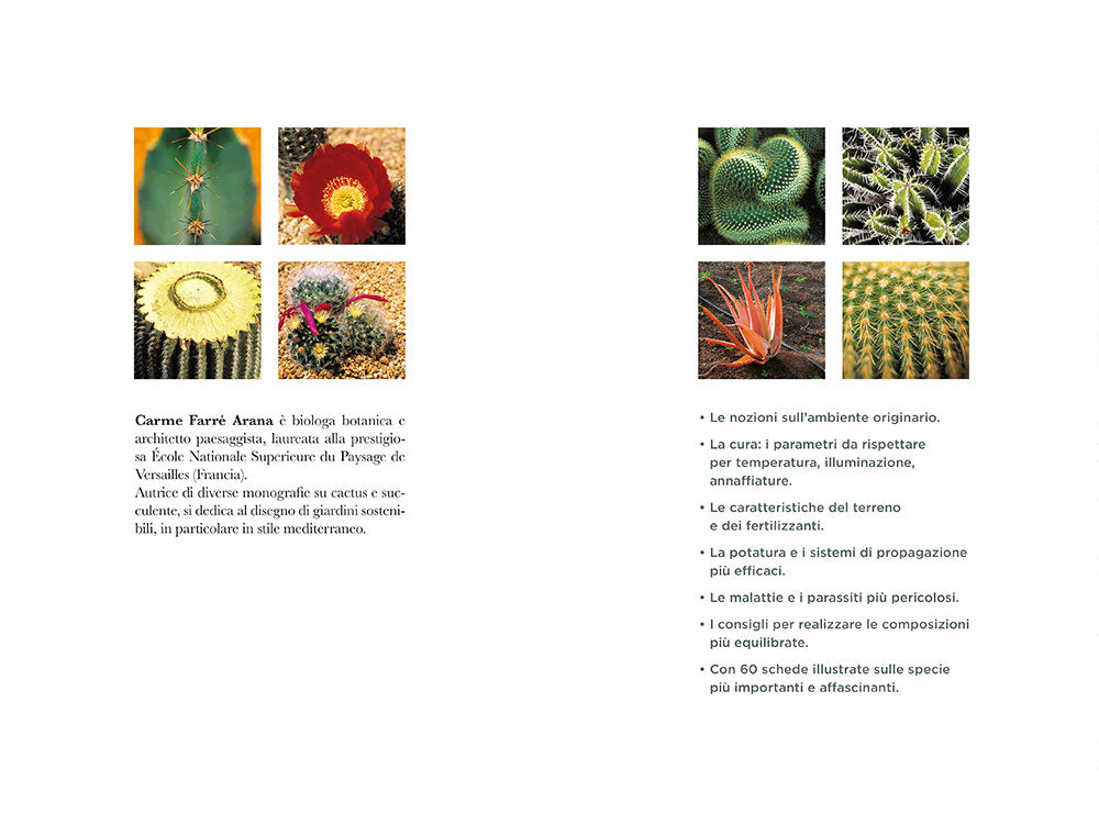 Il grande libro dei cactus e delle piante grasse