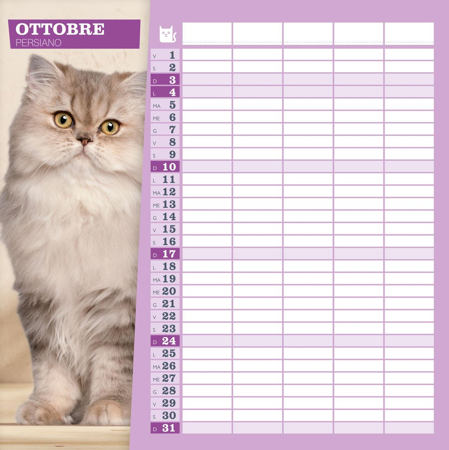 Calendario Gatti  2027