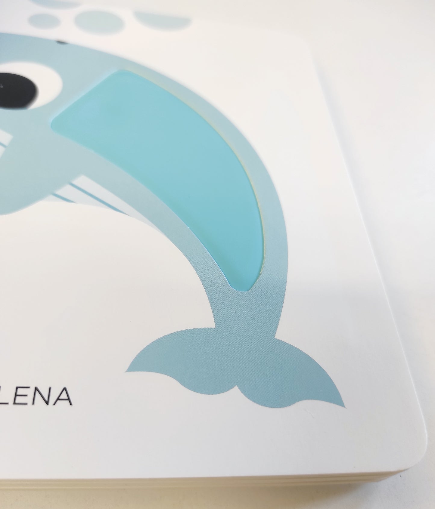 Animali selvaggi