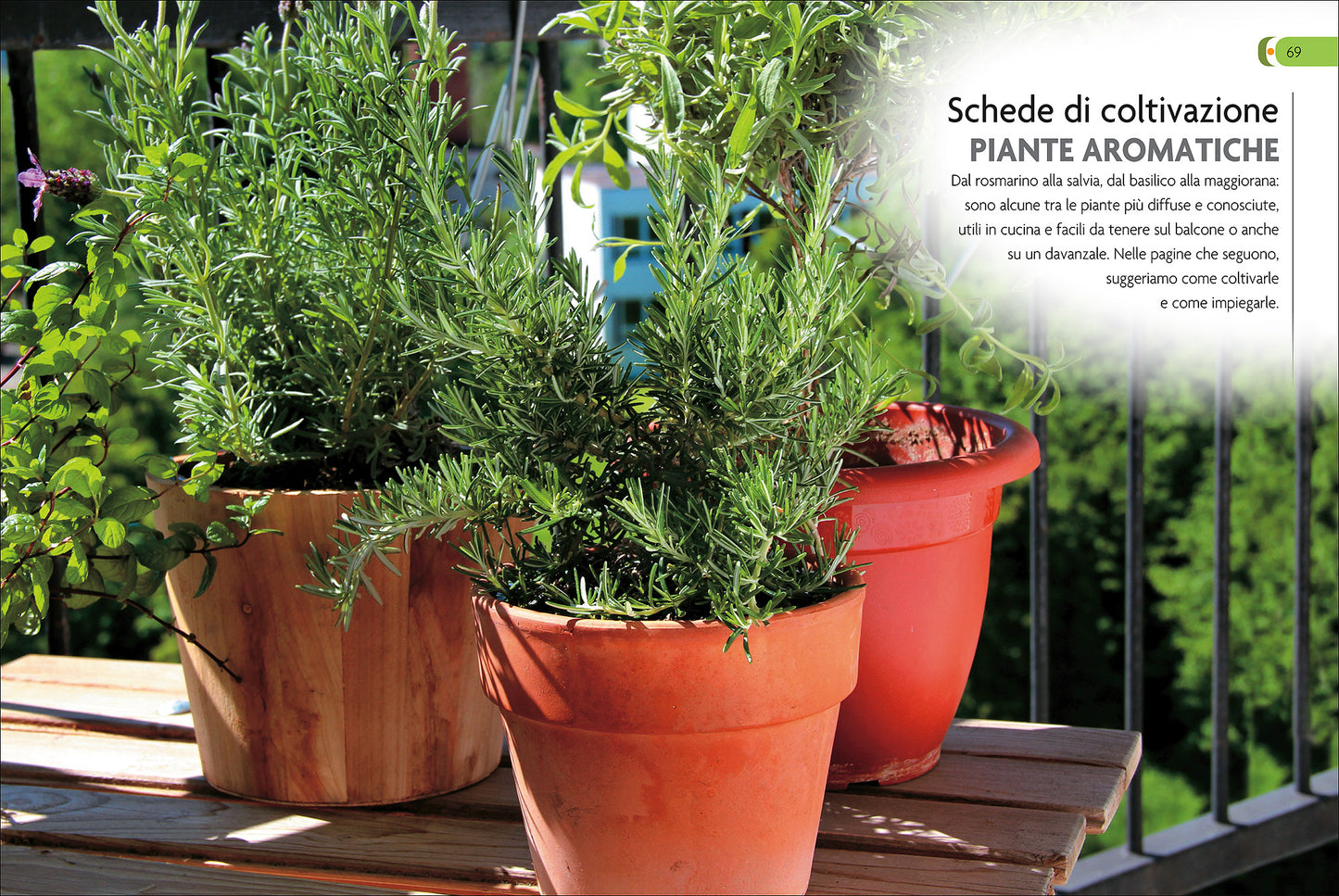 L'Orto Sul Balcone