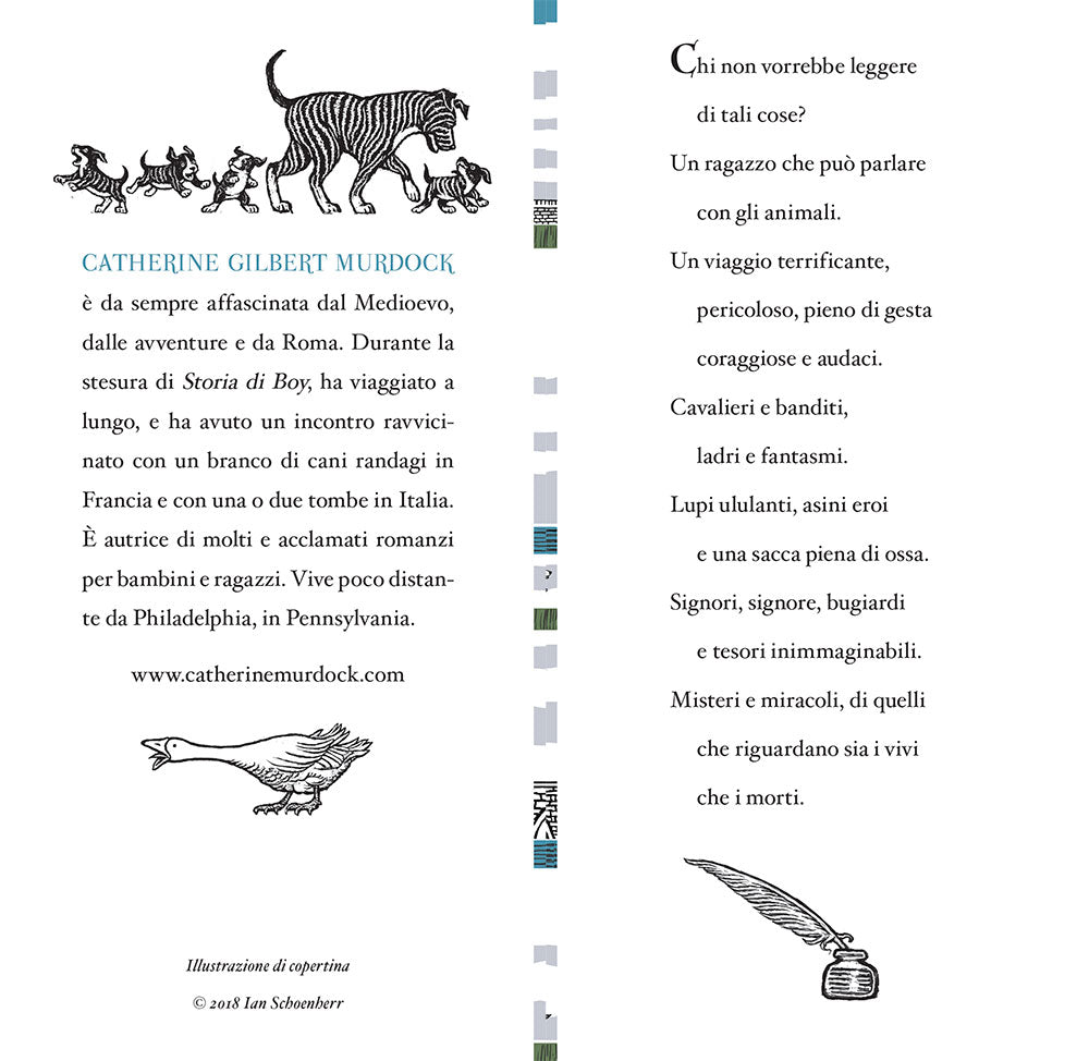 Storia di Boy