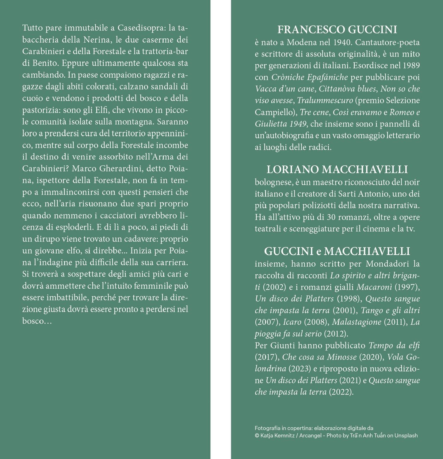 Tempo da elfi