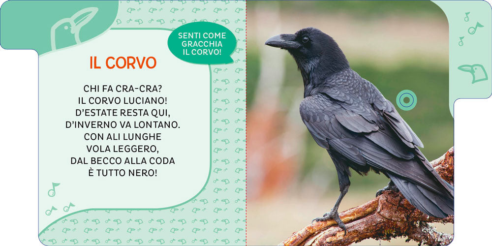 Animali del cielo