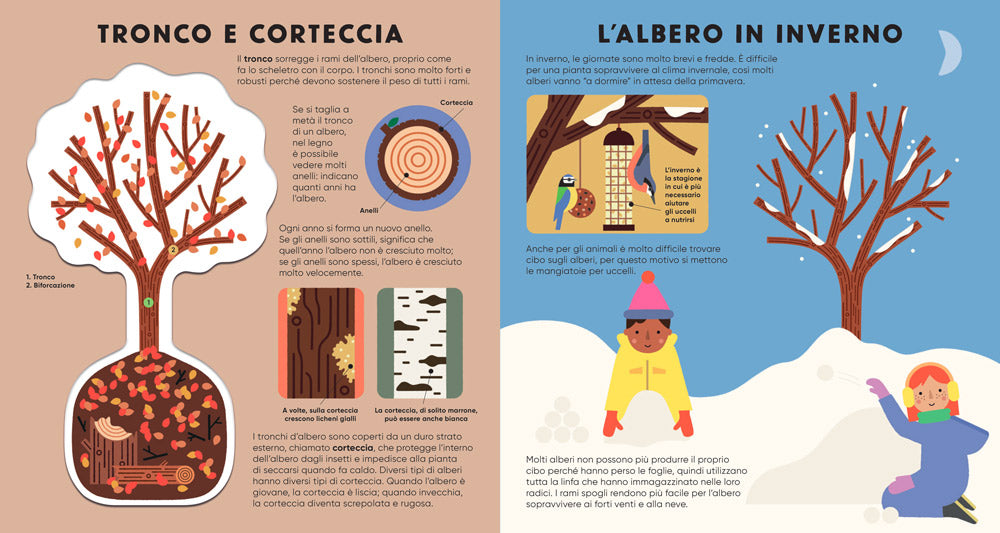 L'albero