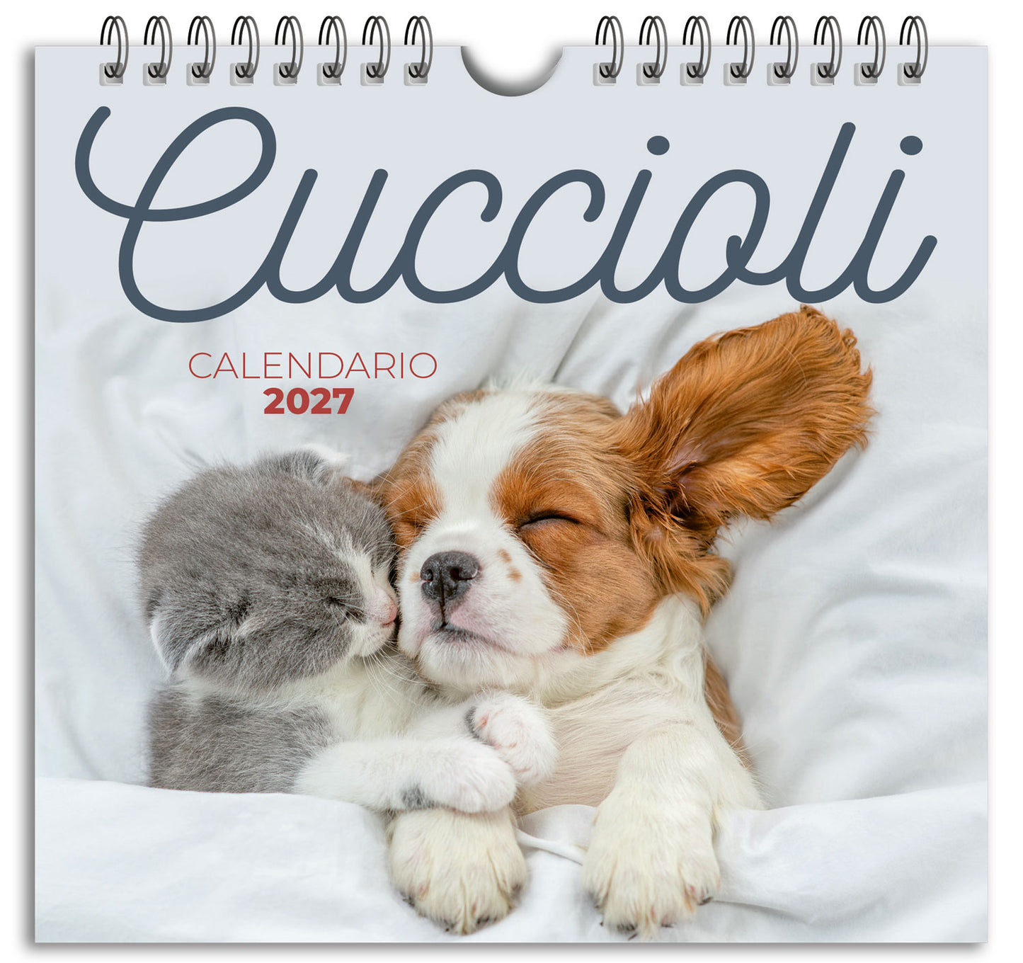 Calendario Cuccioli 2027