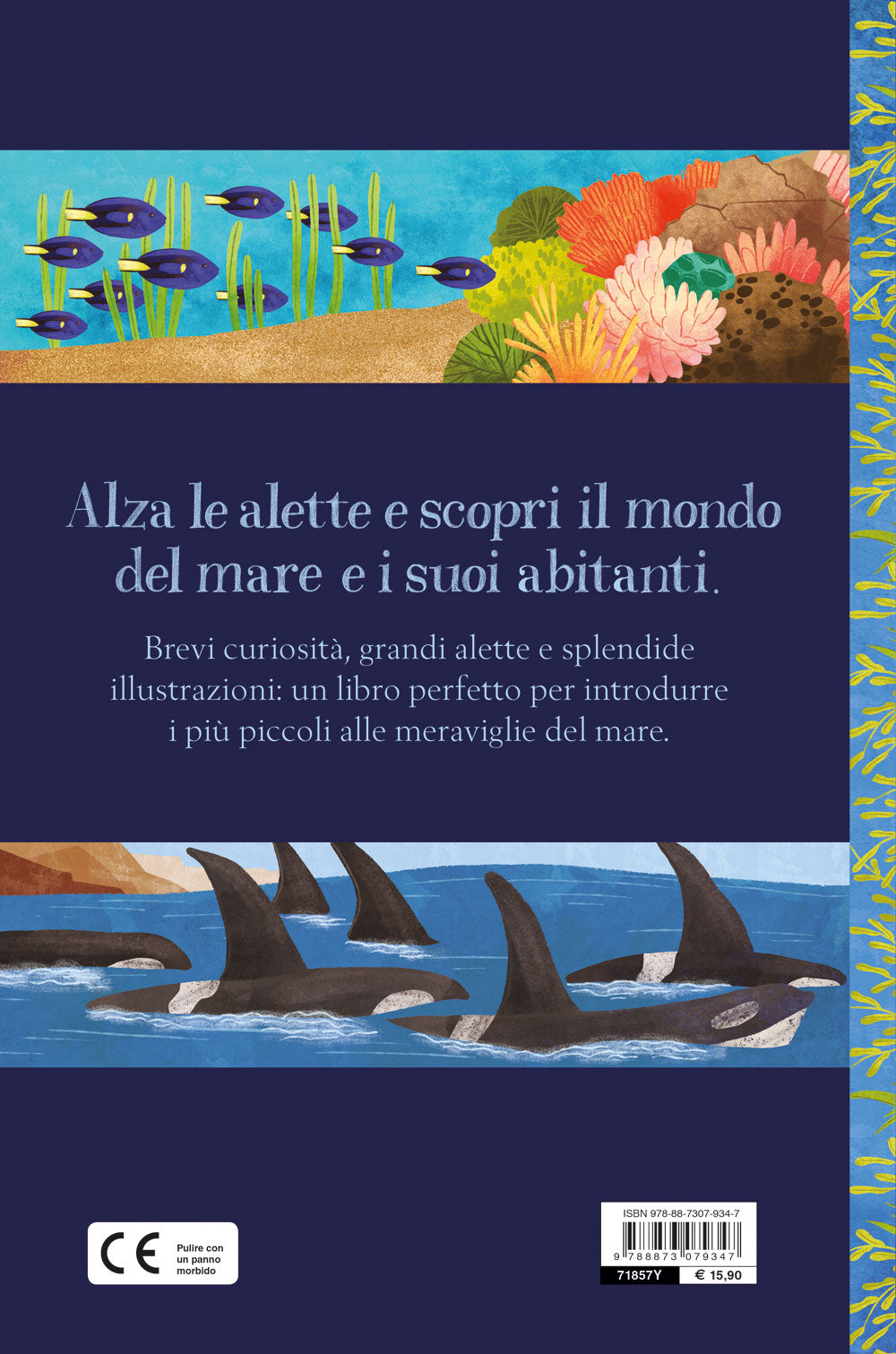 Mare::Alza le alette e scopri la natura!