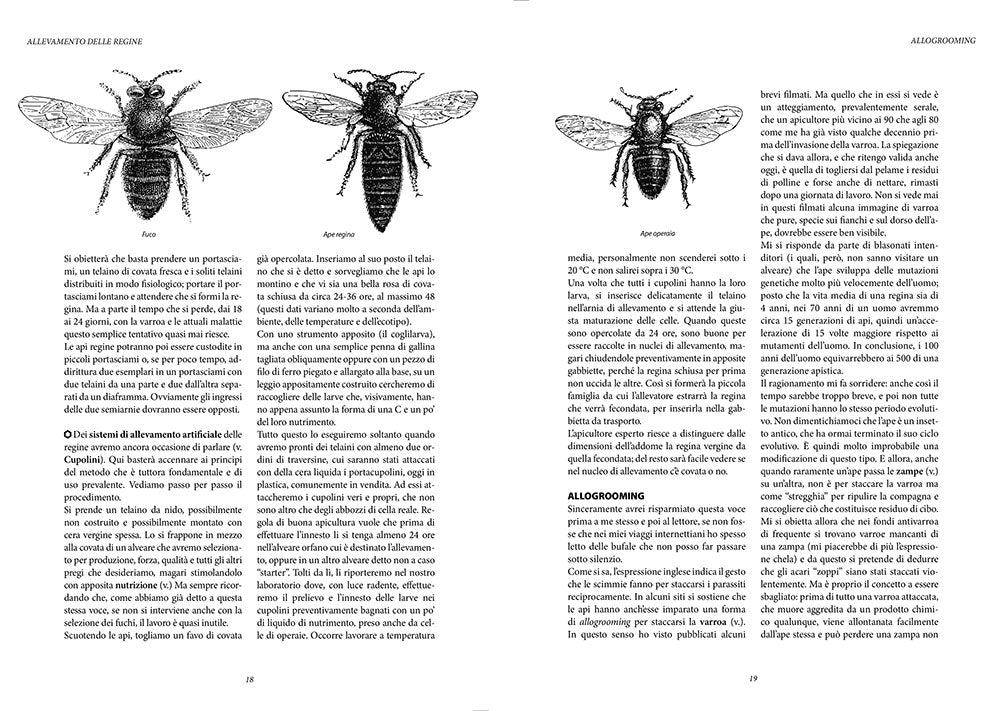 Dizionario di apicultura