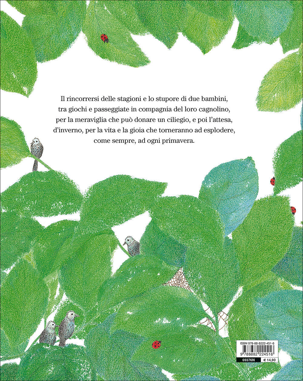 Il ciliegio