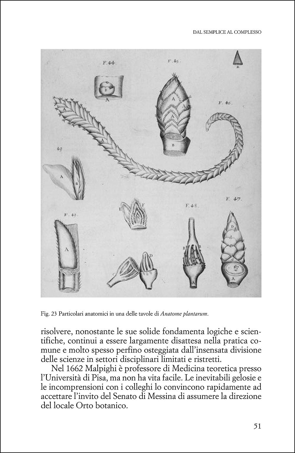 Uomini che amano le piante::Storie di scienziati del mondo vegetale