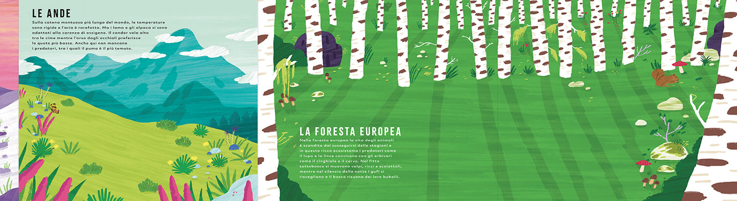 Animali del mondo