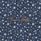 Natale - biglietto Stelle