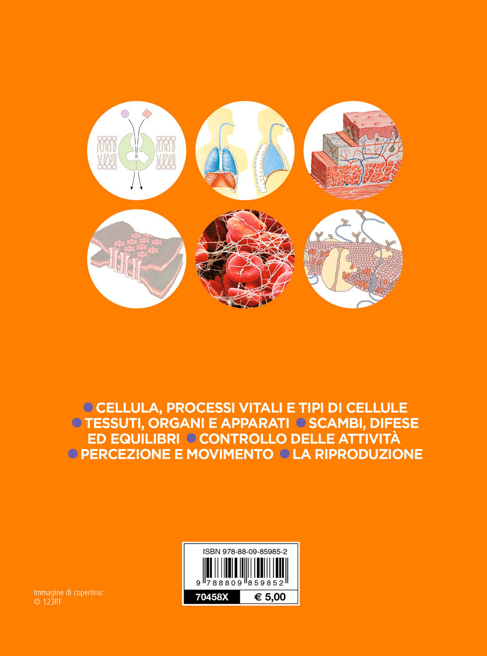 Fisiologia umana::La cellula e i processi vitali di base - Tipi di cellule - Scambi fra ambiente interno e ambiente esterno - L'ambiente interno -  Controllo elettrico, biochimico e chimico delle attività corporee -  Interazioni con l'ambiente - La ripro