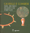 Gioielli e cosmesi del Museo Egizio di Firenze