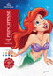 PRINCIPESSE Colori Misteriosi Disney Princess::Arteterapia Libro da colorare per adulti