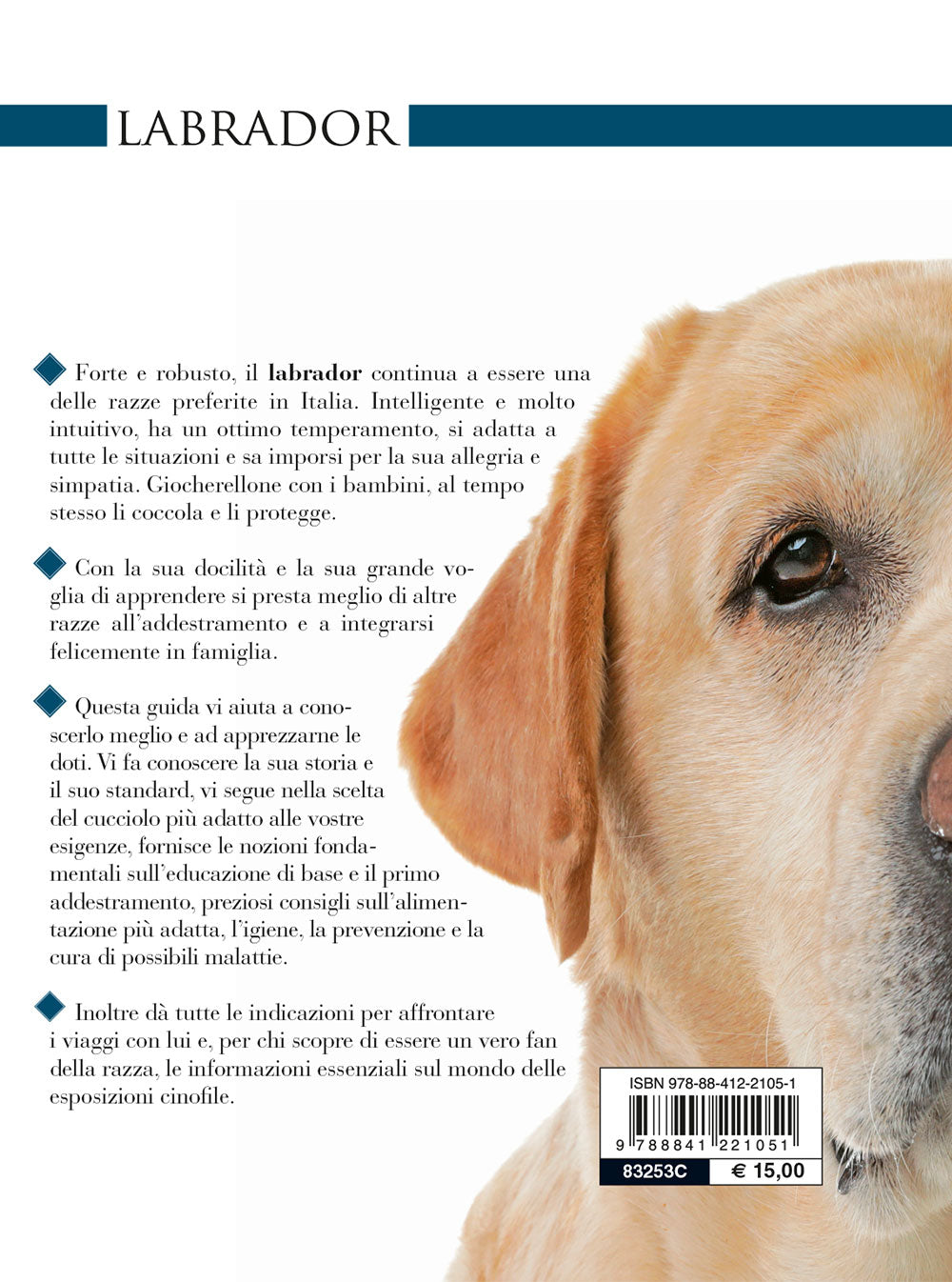 Labrador::vita in casa educazione cure