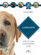 Labrador::vita in casa educazione cure