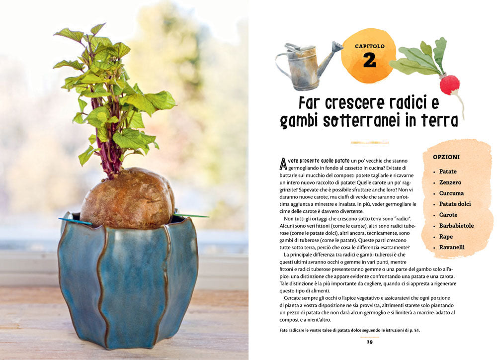 Il mio orto zero waste::Come ridare vita a cime, gambi, semi e altro ancora.