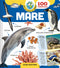 Mare
