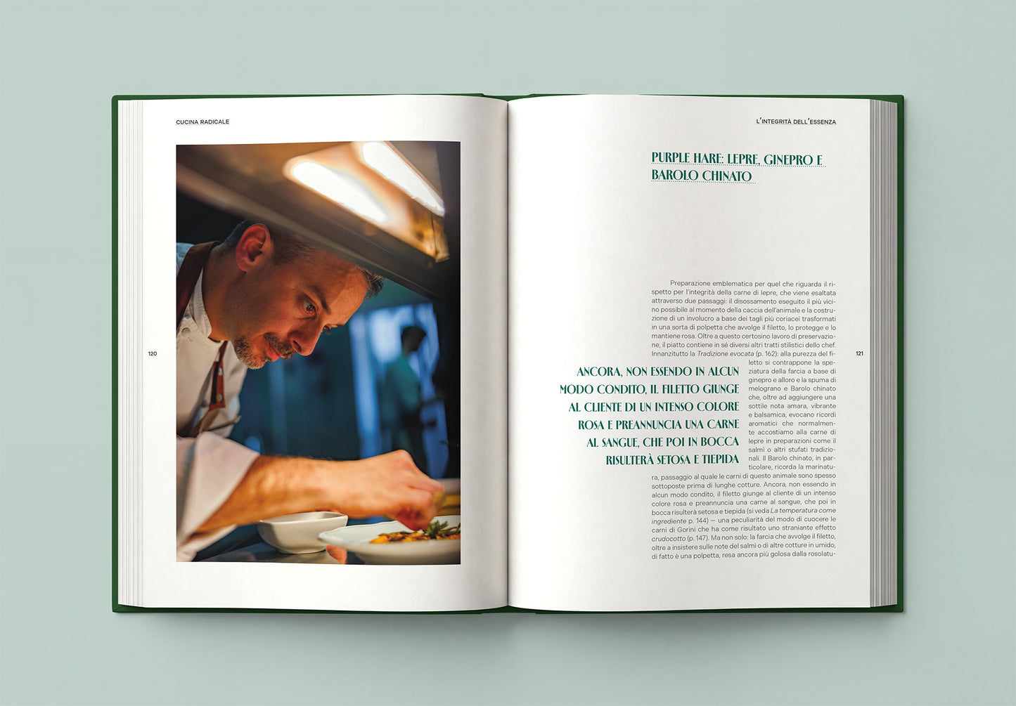 CUCINA RADICALE::Metodi tecniche e pensiero per una gastronomia ancestrale e sostenibile