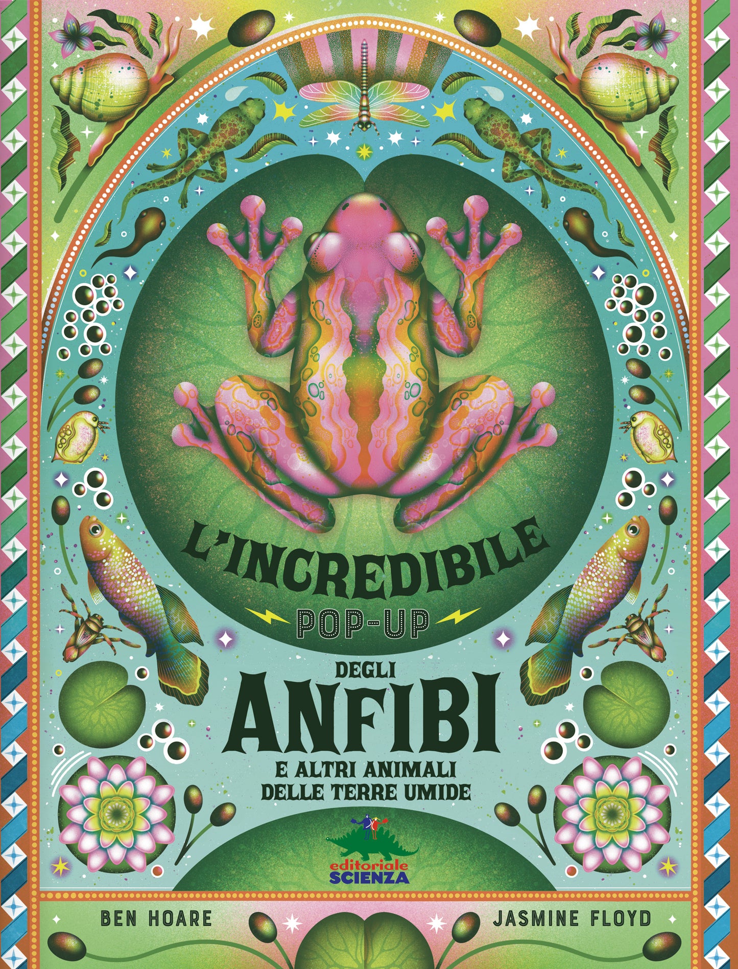 L'incredibile pop-up degli anfibi::e altri animali delle terre umide