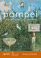 Pompei::gli scavi, il parco e il territorio