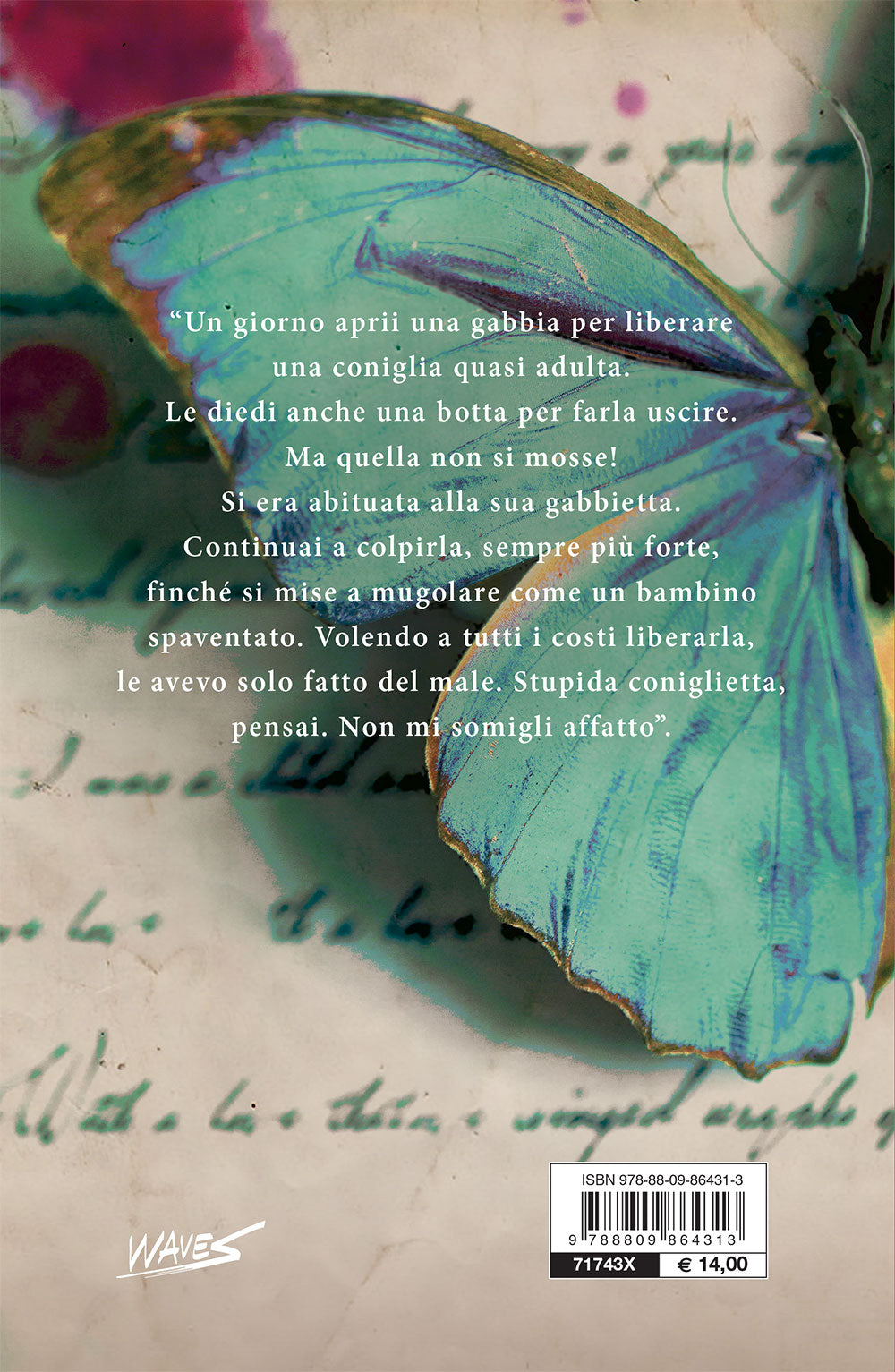 Il tempo delle farfalle