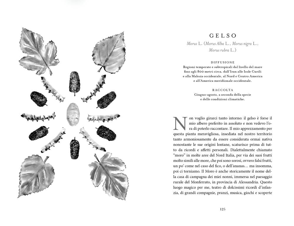 Botanica nascosta. Storia, curiosità, superpoteri delle piante dimenticate::Storia, curiosità, superpoteri delle piante dimenticate
