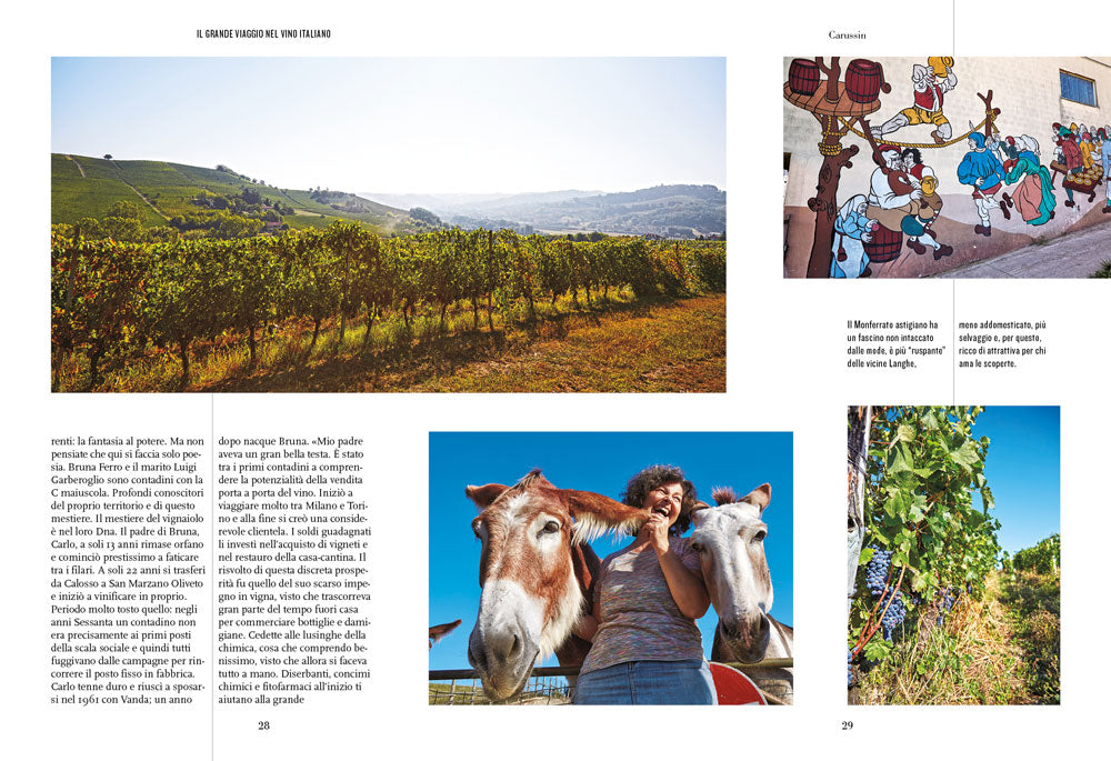 Il grande viaggio nel vino italiano::Racconti di vita, vigne, vini