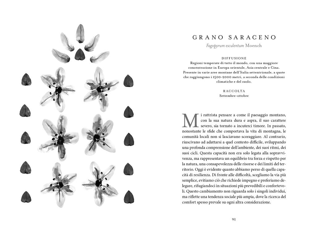 Botanica nascosta. Storia, curiosità, superpoteri delle piante dimenticate::Storia, curiosità, superpoteri delle piante dimenticate